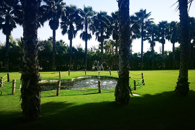 Agadir City Discovery in 3 Hours With Pick up and Drop off - Small Group Pacing (Max 15): Better Than a Rushed Checklist