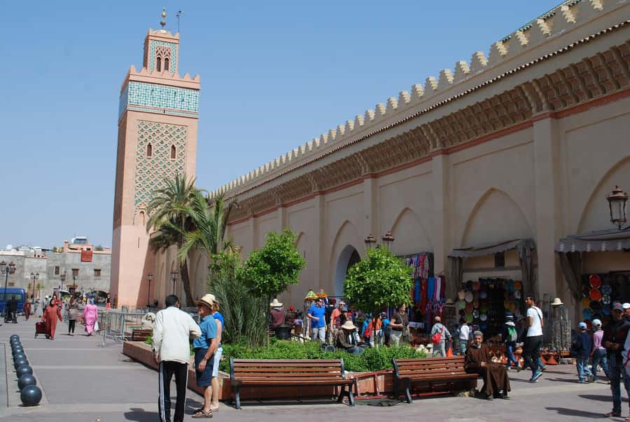 Agadir: City Discovery Tour - Argan Oil Factory Stop: The Tree’s Story and What Certified Means