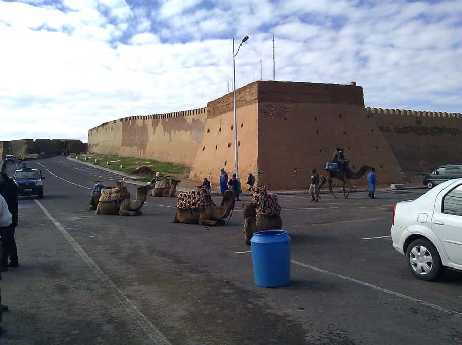 Agadir: City Discovery Tour - Who This Tour Suits Best (and Who Might Want Something Else)