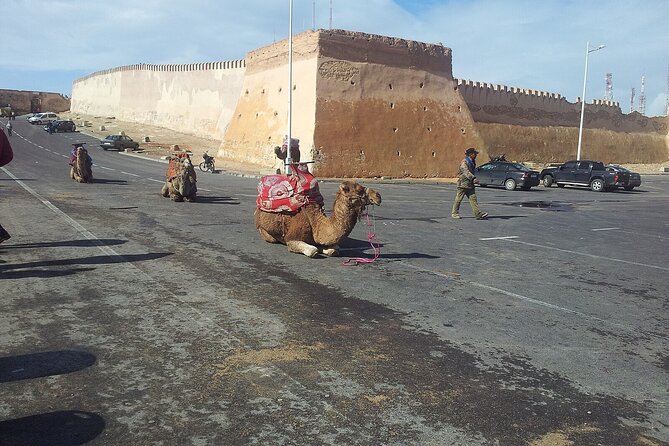 Agadir city tour and souk el had - Optional argan oil cooperative: how to make sense of argan oil in real time