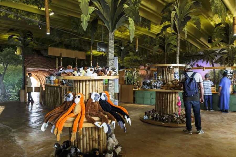 Agadir City Tour & Crocodile Park Adventure & Entry Ticket - Guide quality: Simba, Zakaria, and Hitam/Hatim in the spotlight