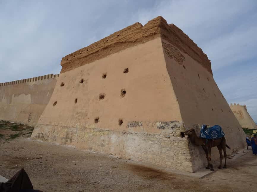Agadir City Tour + Kasbah + Souk Market - Tour Pace and Logistics: Pickup, Group Size, and Staying Together