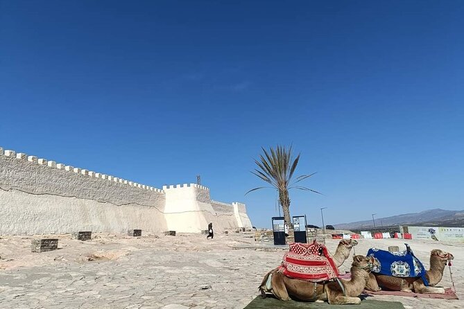 Agadir City Tour whit medina polizzi and Cable car Ride - What makes it a good value in 3 hours