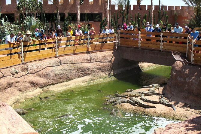 Agadir Crocodile Park Adventure - Jungle-Feeling Design: What the Architecture Changes for You
