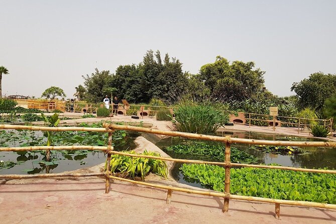 Agadir Crocodile Park Adventure - Timing Your Visit Within Crocoparc Hours