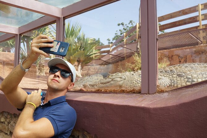 Agadir Crocodile Park Adventure - Food, Heat Breaks, and What to Bring
