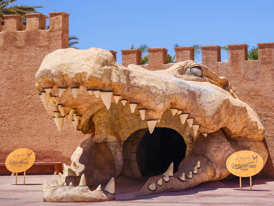 Agadir: Crocoparc Entry Ticket with Transfers, Guide, & Tea - The Guided Walk: More Than Crocodiles, and Why It Helps