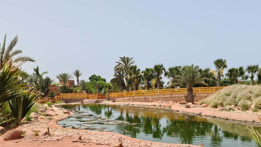 Agadir: Crocoparc Skip-the-Line Entry Ticket - The Crocodile-Mouth Entrance and the First Easy Viewing Loop