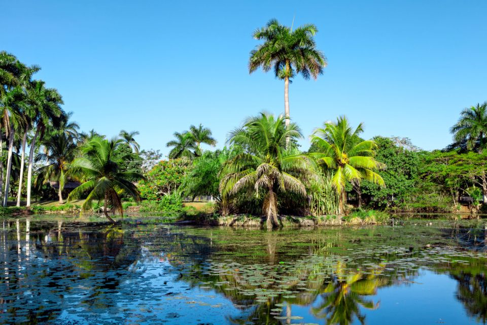 Agadir Crocoparc: Ticket and Transfer - Key Things That Make Agadir Crocoparc Worth Your Time