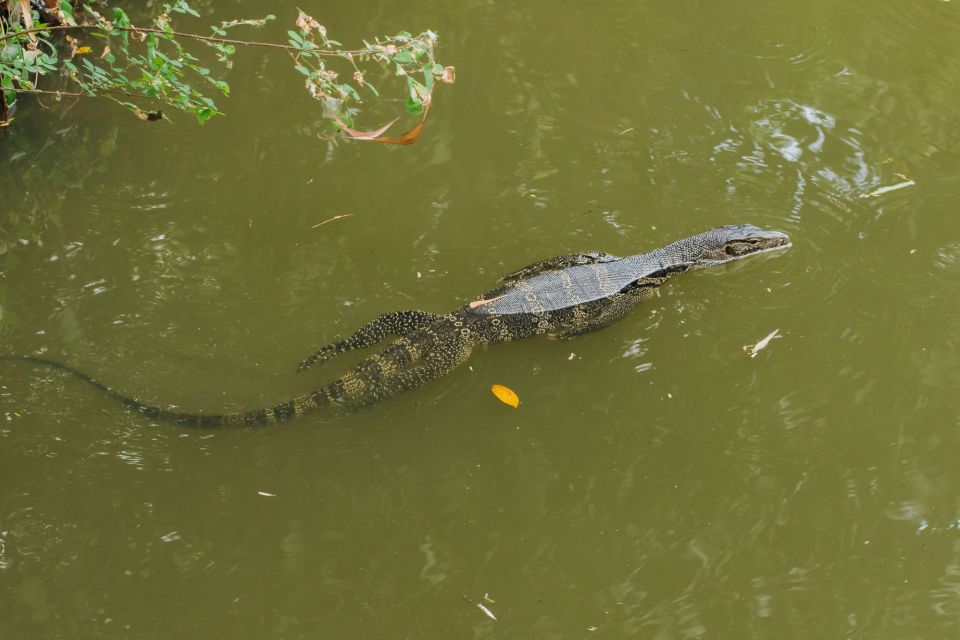 Agadir Crocoparc: Ticket and Transfer - The Aquatic Garden: Water Lilies, Victoria, and Nile Papyrus