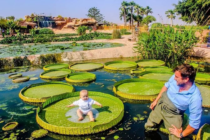 Agadir Crocoparc Transfer & Admission tickets - Price and value: why $27.92 feels fair