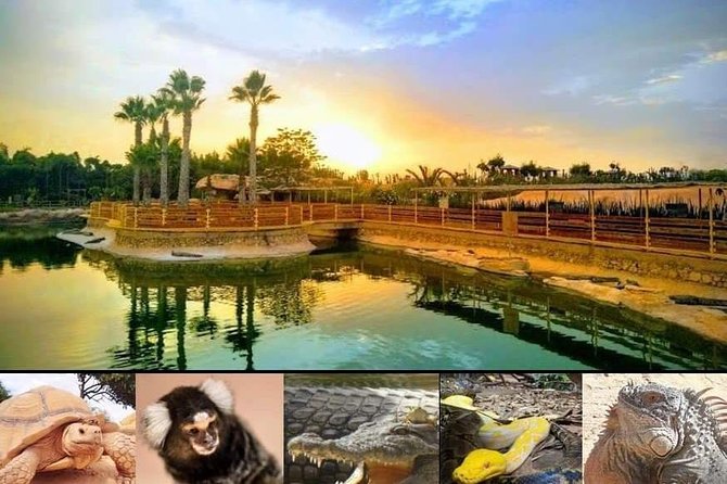 Agadir Crocoparc Transfer & Admission tickets - Kids, couples, and that “we’re done?” feeling