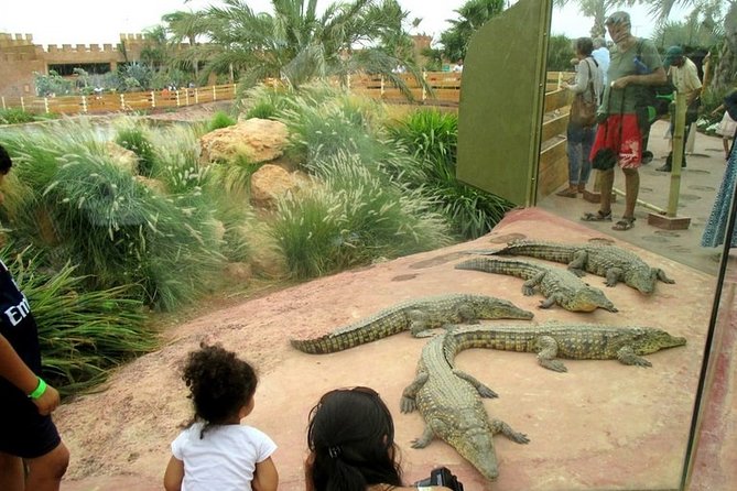 Agadir Crocoparc With Transfer & Admission ticket - Souvenir photo/video moments: a small extra that saves time