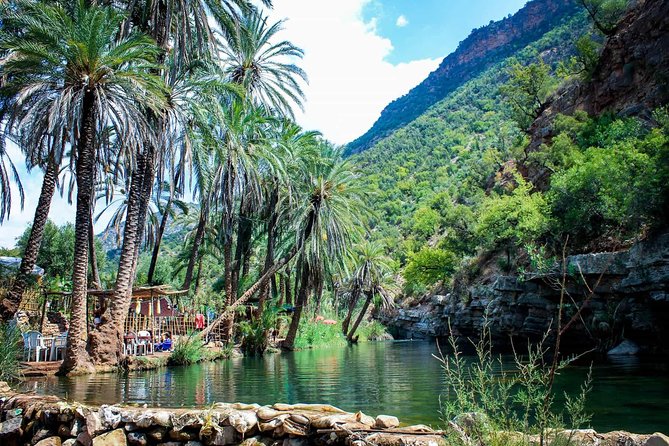 Agadir Day Trip To Paradise Valley - Paradise Valley’s Main Prize: Natural Pools, Palm Shade, and Swimming