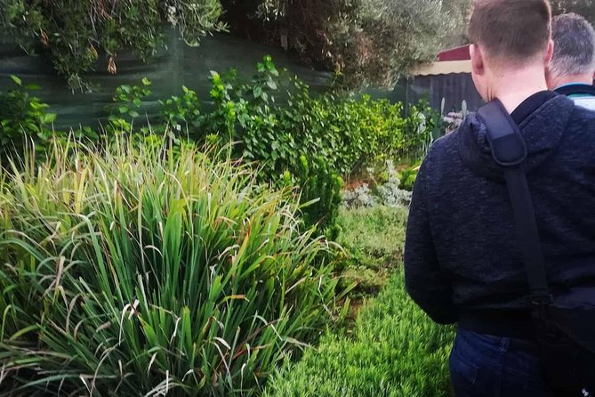 Agadir Day Trip To Paradise Valley - What’s Included (and What You’ll Need to Bring)