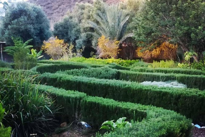 Agadir Day Trip To Paradise Valley - Price and Value: Does $23.49 Make Sense?