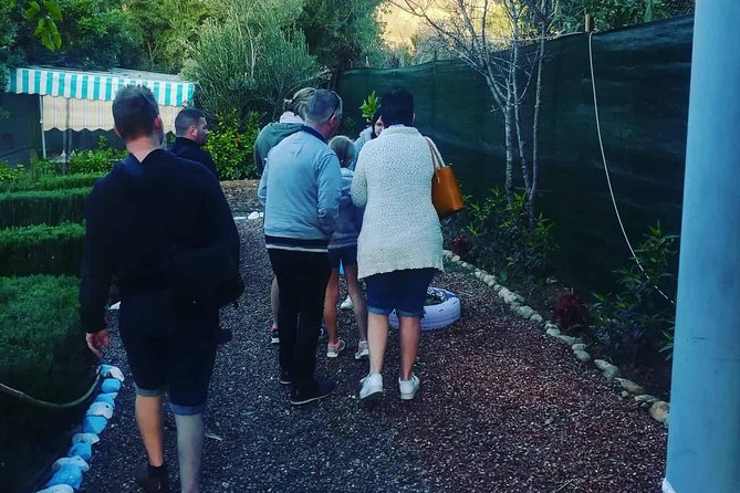 Agadir Day Trip To Paradise Valley - The 20-Minute Walk Through Greenery: How Hard Is It?