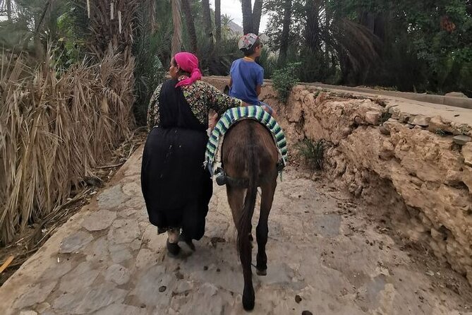 Agadir Day Trip to Taroudant and Tiout Oasis with Lunch - Food, water, and the heat reality