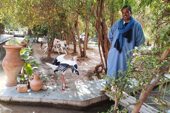 Agadir Day Trip to Taroudant and Tiout Oasis with Lunch - Price and value: is $40.65 a fair deal?