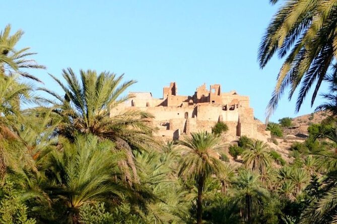 Agadir Day Trip to Taroudant and Tiout Oasis with Lunch - Who this tour is best for (and who should skip it)