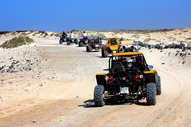 Agadir Desert Dunes Buggy Tour - The Berber tea break: the snack stops you’ll actually look forward to
