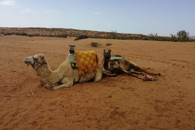 Agadir Desert Tour 4x4 with lunch - Sidi R’bat: fishermen’s caves and a wild, quiet beach break