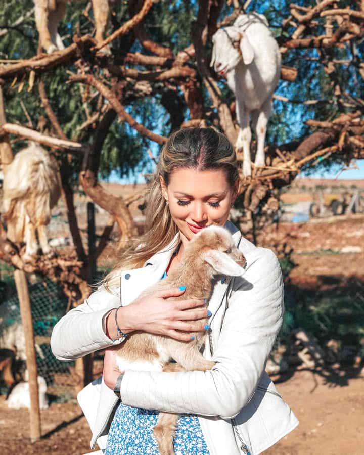 Agadir: Discover Argan Tree-Climbing Goats on a Morning Tour - Pickup, timing, and how the 150-minute morning works