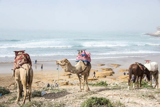 Agadir Dune Quad Bike and Sunset Camel ride Adventure - Price and Value: Why This Costs About $31 and Why That Seems Fair