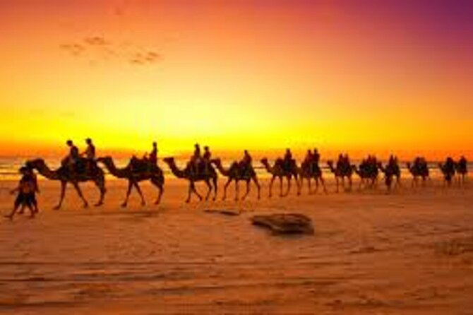 Agadir Dune Quad Bike and Sunset Camel ride Adventure - Who This Fits Best (and Who Might Prefer Another Style)