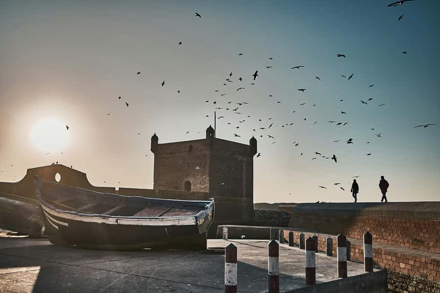 Agadir: Essaouira Guided Day Trip - Souk market, port, and free time in the Medina