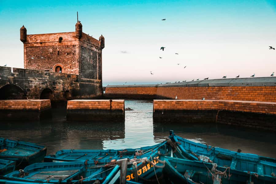 Agadir: Essaouira Guided Day Trip - Flying goats and Berber tea: the first real taste of the region