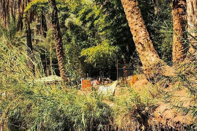 Agadir Excursion to Paradis Valley & Atlas Mantains with lunch - Lunch with Moroccan tea: where the tour earns its value