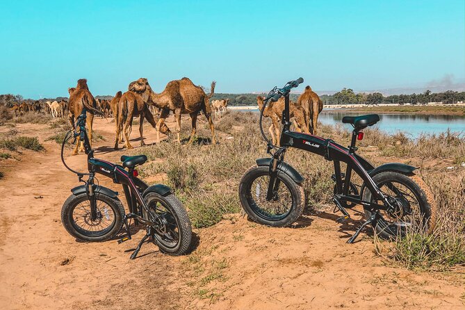 Agadir Experience Ebike Private Tour - Why an Agadir e-bike private tour makes sense for short time in town