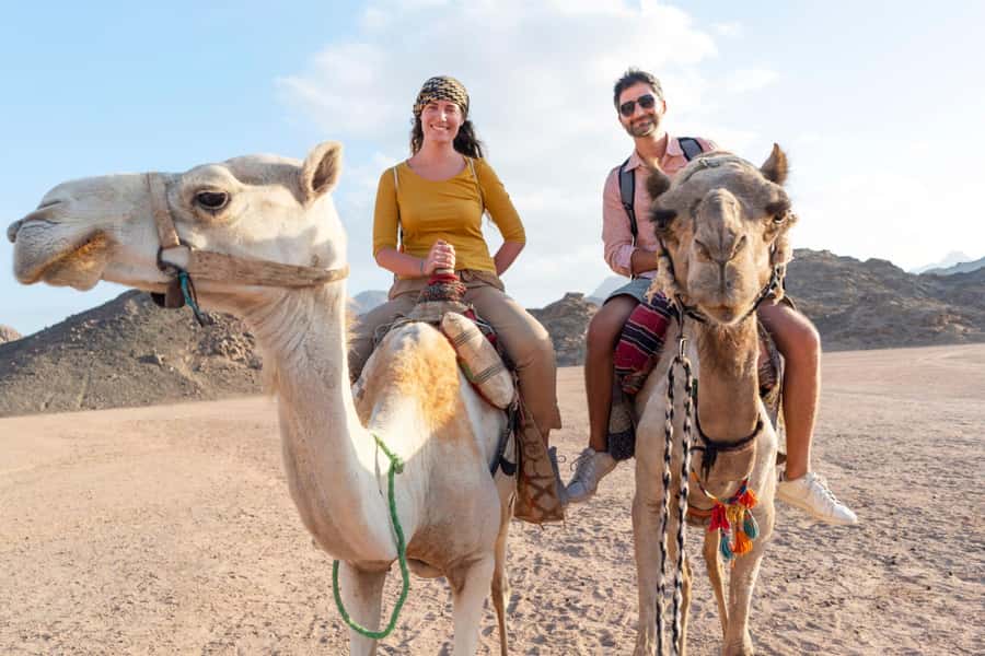 Agadir: Flamingo River Camel Ride with Optional BBQ Dinner - Camel Ride Near Agadir: The Easy Way Into Morocco’s Countryside