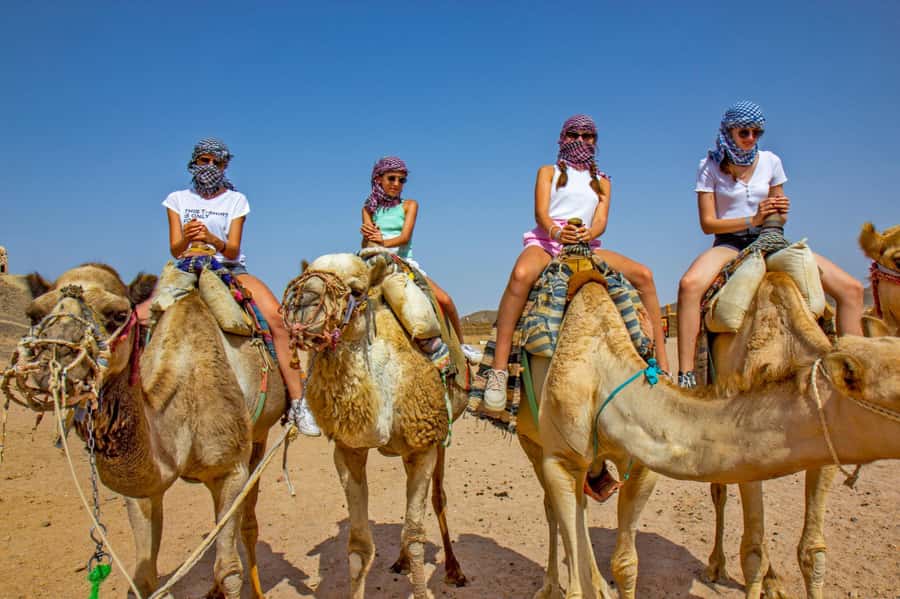Agadir: Flamingo River Camel Ride with Optional BBQ Dinner - Tea, Moroccan Cakes, and the Optional Dinner Choice