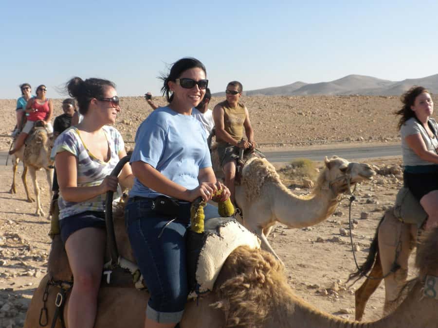 Agadir: Flamingo River Camel Ride with Optional BBQ Dinner - Price and Value: Is $20 Worth It?