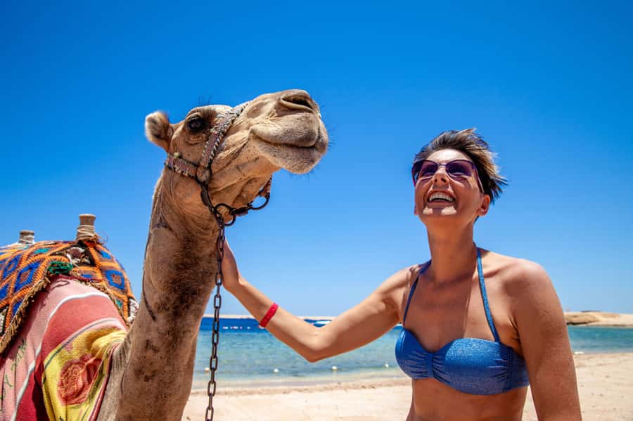 Agadir: Flamingo River Camel Ride with Optional BBQ Dinner - Should You Book This Camel Ride in Agadir?