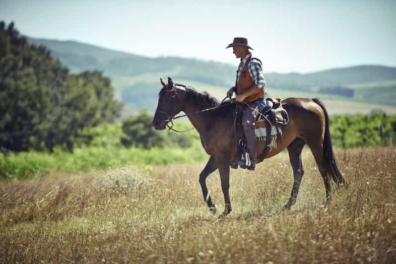 Agadir: Forest and Sand Dunes Guided Horse Riding - Horseback in Agadir: Why this ride is a smart use of a day