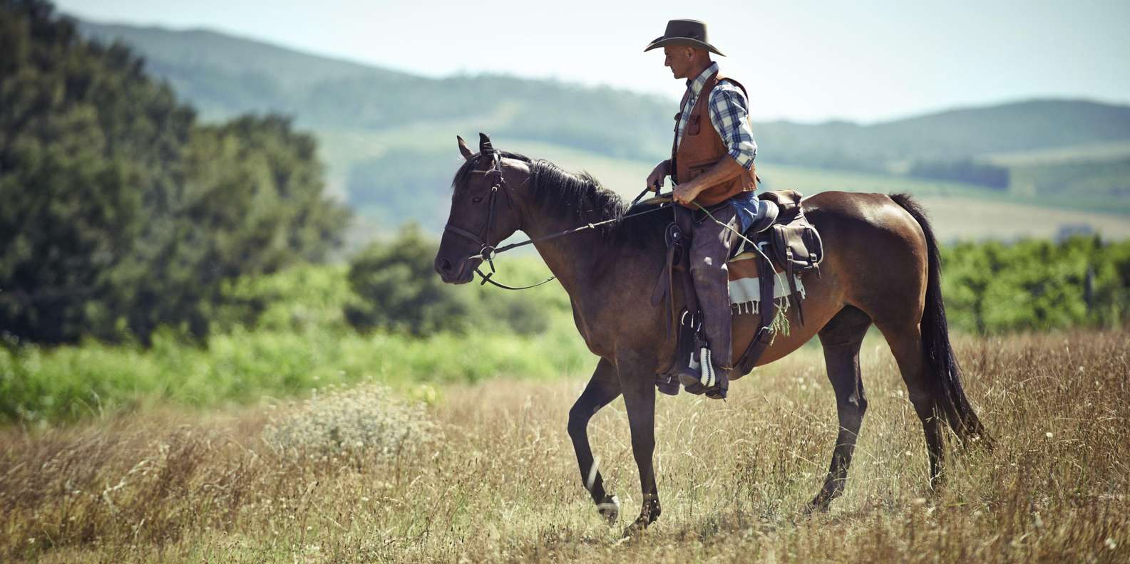 Agadir: Forest and Sand Dunes Guided Horse Riding - Through eucalyptus forests: the calm, scenic warm-up