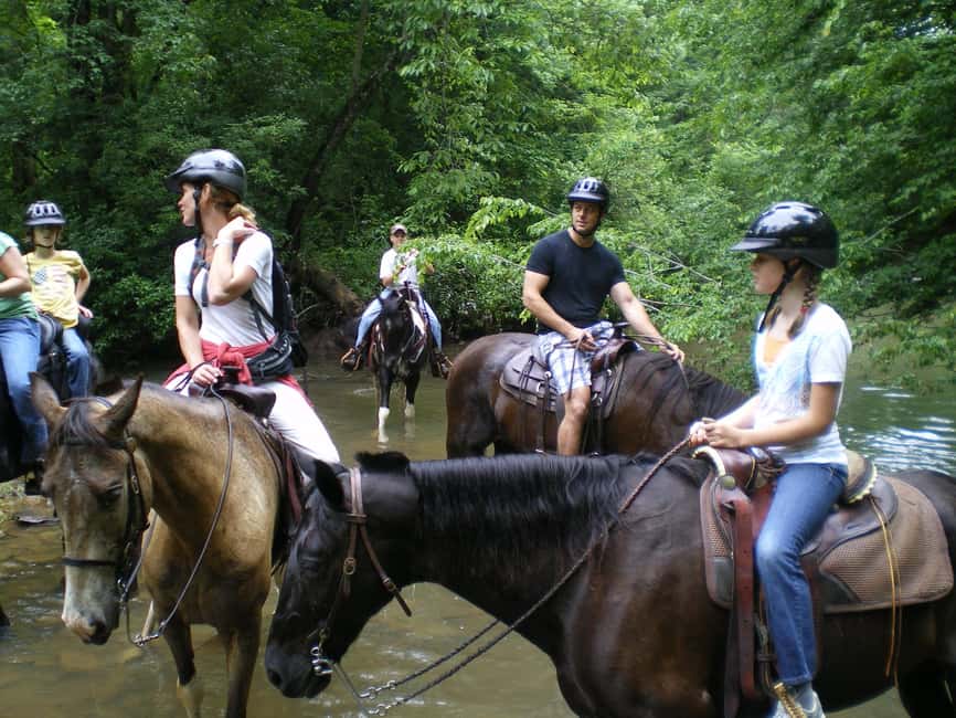 Agadir: Forest and Sand Dunes Guided Horse Riding - Beach riding and sand dunes: where the views earn their keep