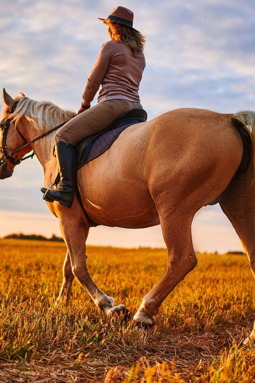 Agadir: Forest and Sand Dunes Guided Horse Riding - Tea at the stables: the relaxed ending you’ll appreciate