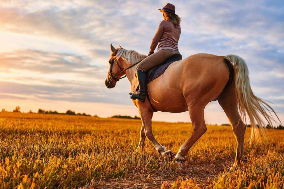 Agadir: Forest and Sand Dunes Guided Horse Riding - Picking up from your hotel and getting matched to your horse