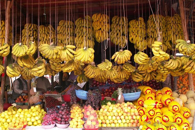 Agadir guided city tour half-day trip - Value and Comfort: Does $13.94 Make Sense?