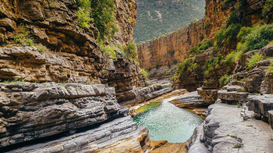 Agadir: Guided Excursion to Paradise Valley - Streams, limestone gorges, and the 180-meter waterfalls