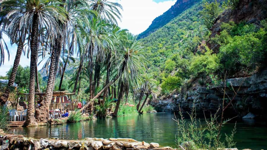 Agadir: Guided Excursion to Paradise Valley - On the trail with a certified mountain guide (and what you should look for)