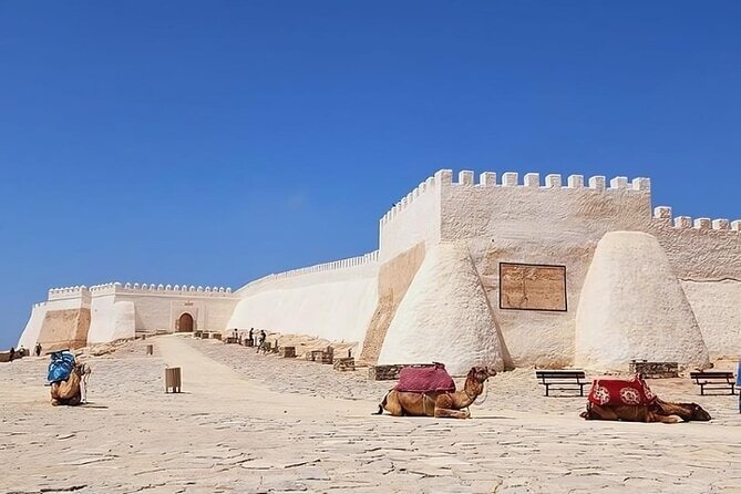 Agadir Guided old medina Tour With Hotel Transfer - Key highlights you’ll actually notice