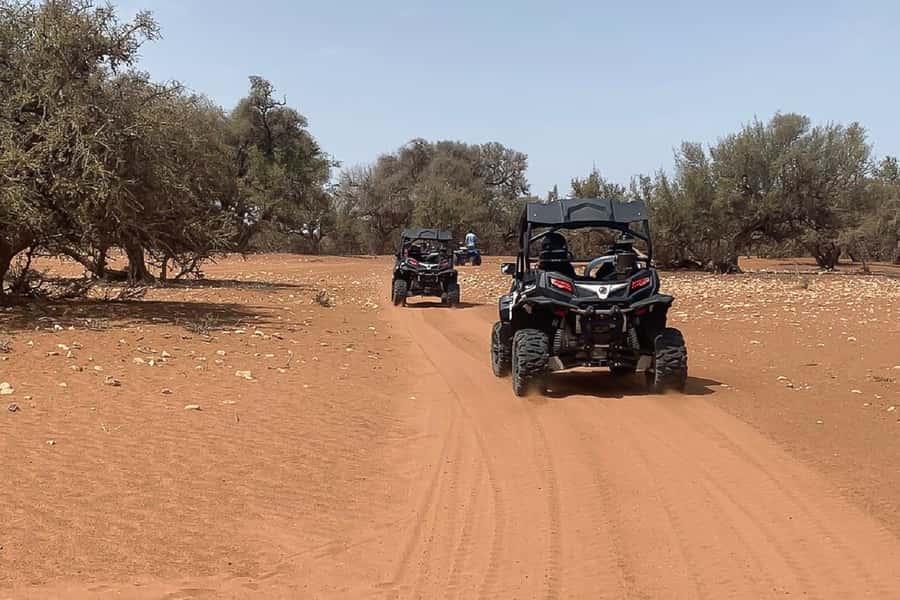 Agadir: Half-Day Desert Dunes Buggy Safari - Timing and Transport: Back to Your Hotel by Around 12:00