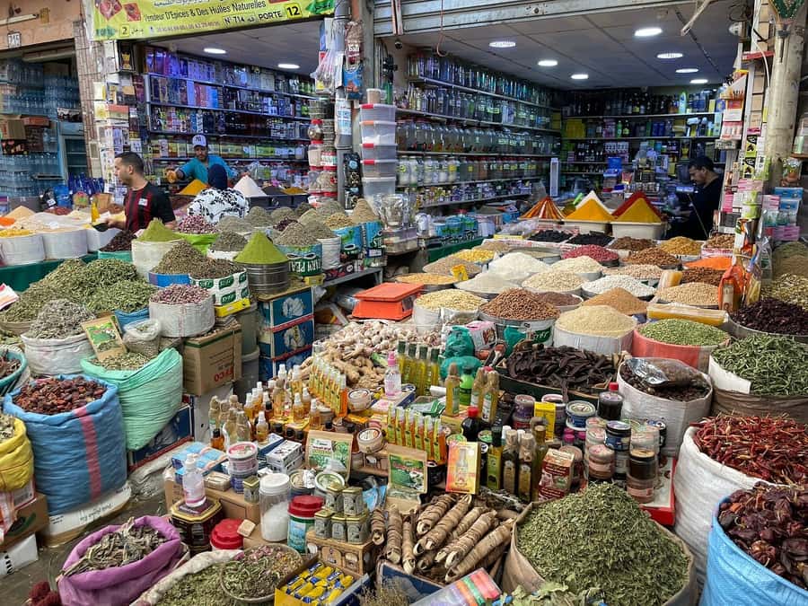 Agadir: Half-Day Guided Tour - Port area and Agadir’s working side