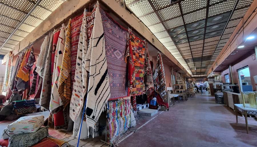 Agadir: Half-Day Guided Tour - Price and logistics: what $16 buys you in Agadir