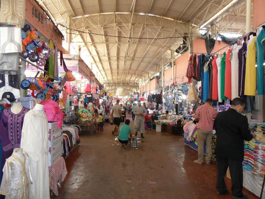 Agadir: Half-Day Guided Tour - Hotel pickup and the quick start in Agadir Medina